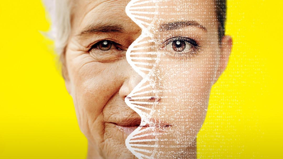 Relaxed waiting area Waiting lounge